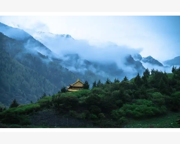 通过血能清肺还是能清肠好用