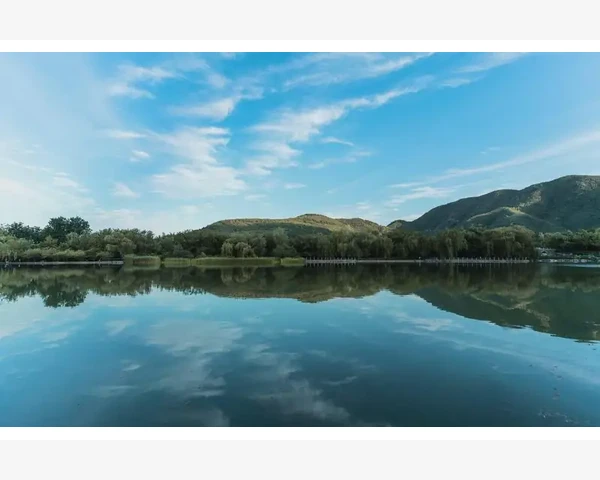 吃木耳，能否清肺？探究中医的智慧